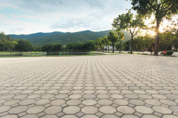 Best Local Driveway Pavers  in Grafton, ND